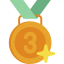 medalla-de-bronce